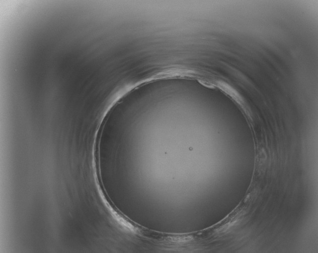 X0000060571055200511101624