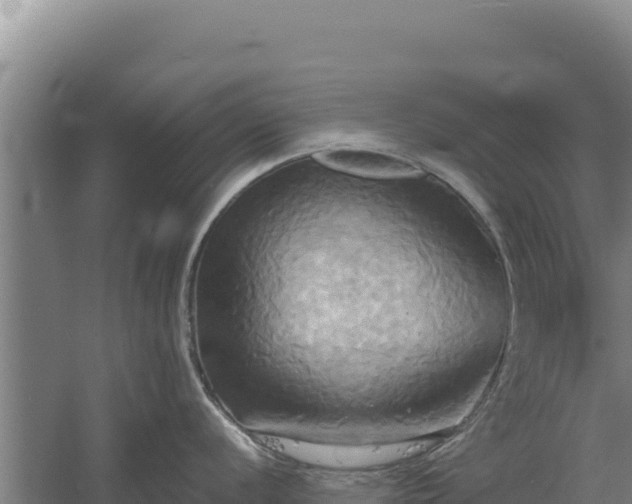 X0000060571056200511101624