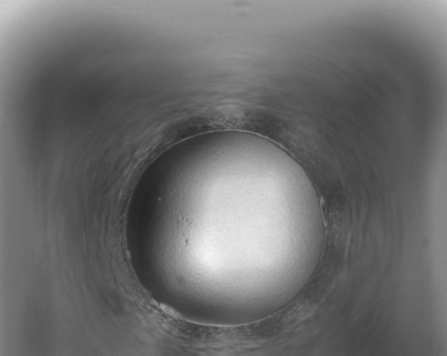 X0000060571057200511101624