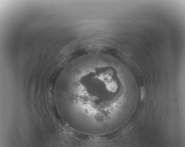 X0000060571059200511101624