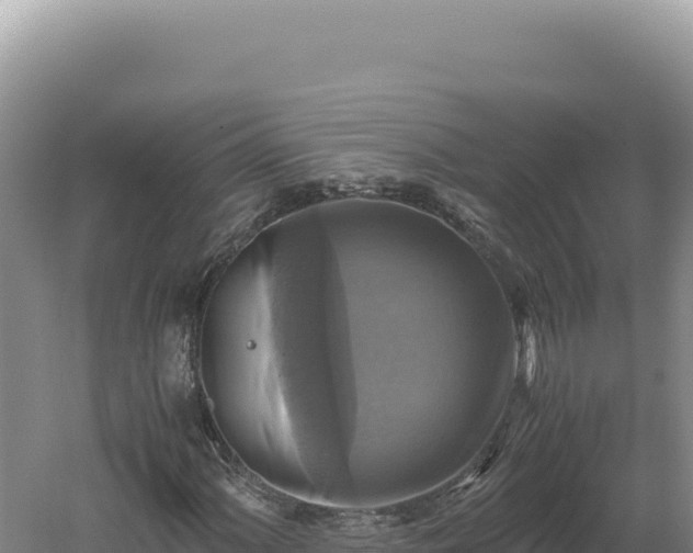 X0000060571060200511101624