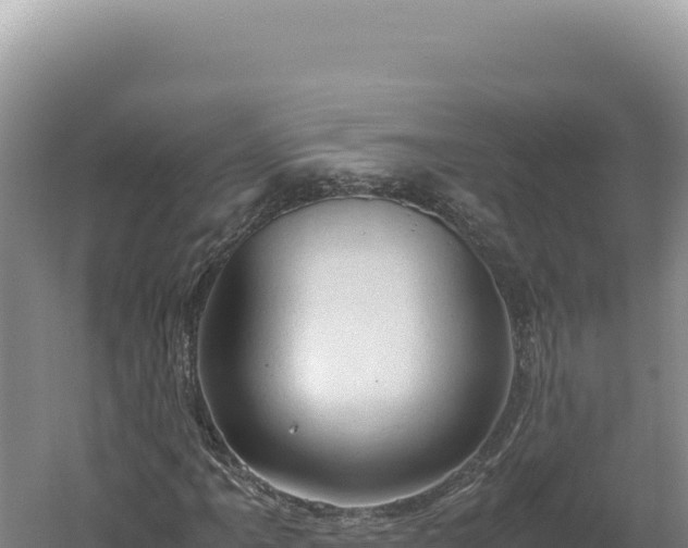 X0000060571061200511101624