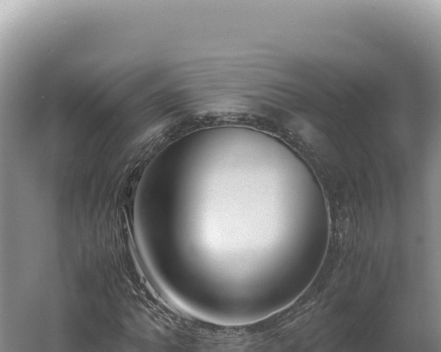 X0000060571062200511101624