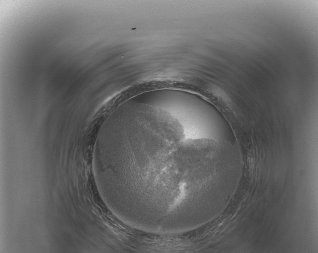 X0000060571064200511101624