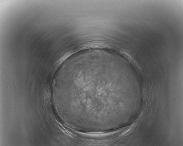 X0000060571065200511101624