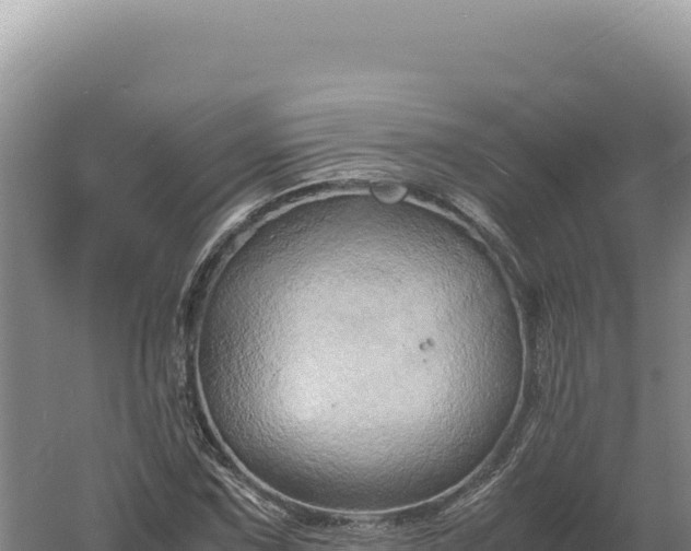 X0000060571067200511101624