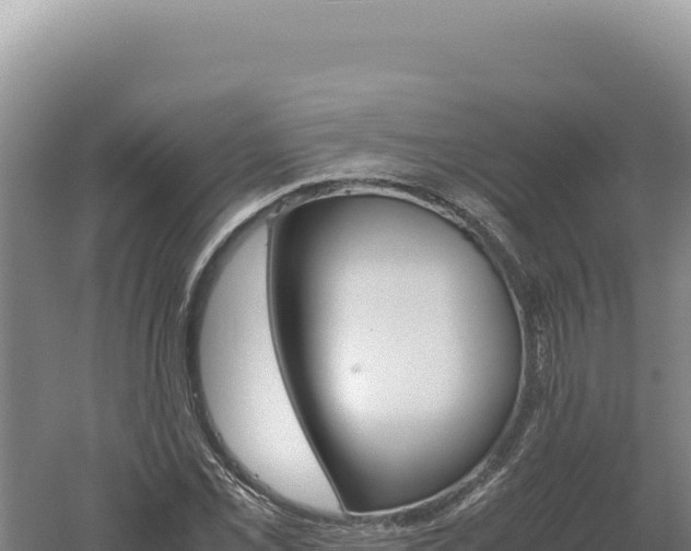 X0000060571069200511101623