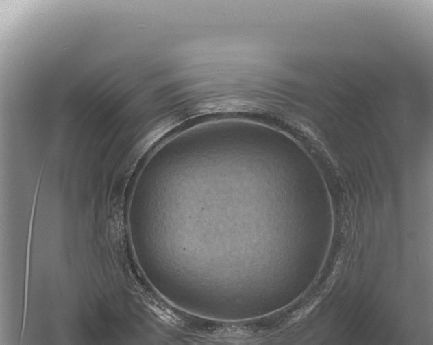 X0000060571073200511101623