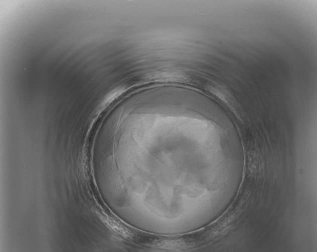 X0000060571074200511101623