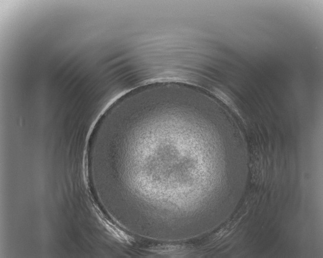 X0000060571076200511101623