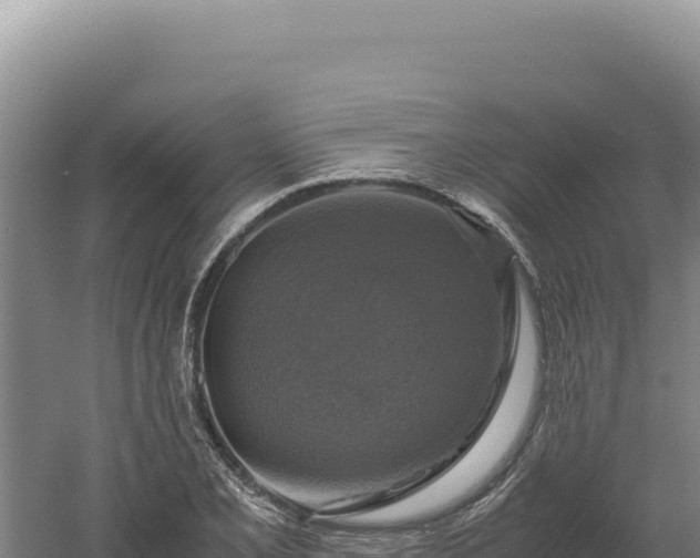 X0000060571077200511101623