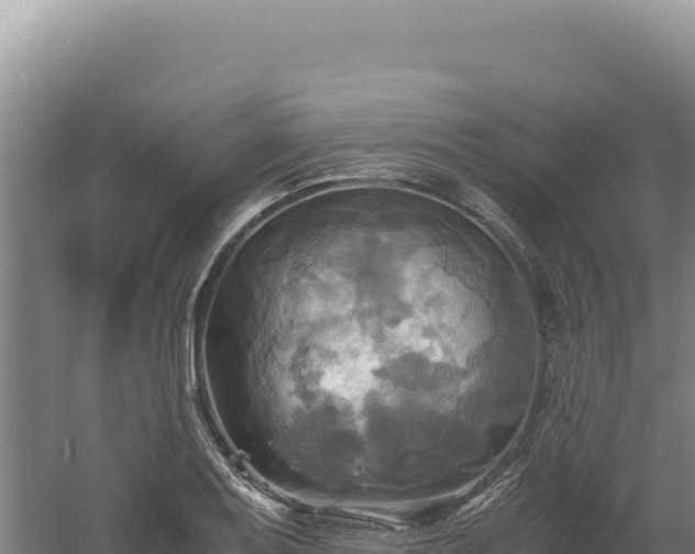 X0000060571079200511101623