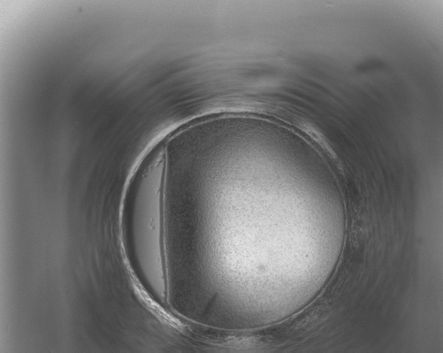 X0000060571080200511101623