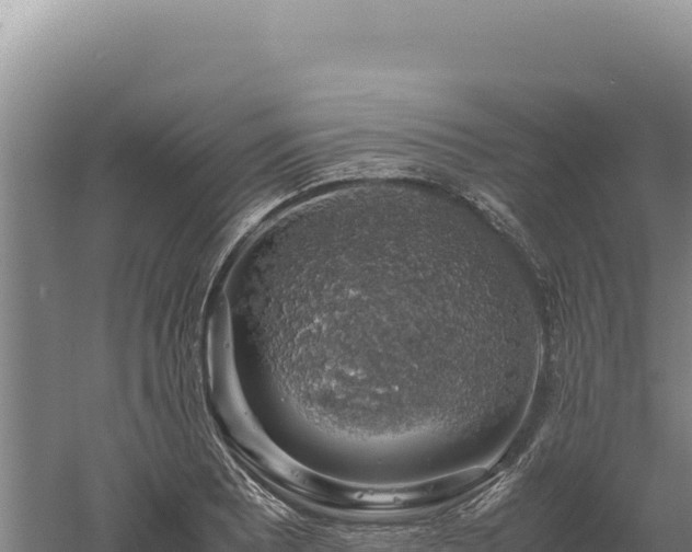 X0000060571081200511101623