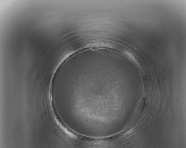 X0000060571084200511101623