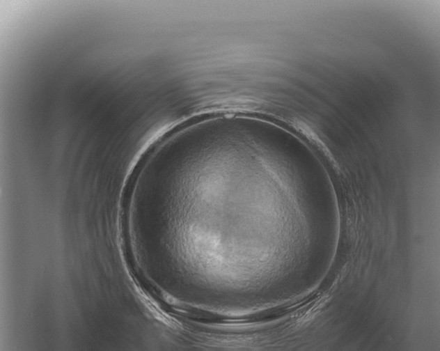 X0000060571085200511101623