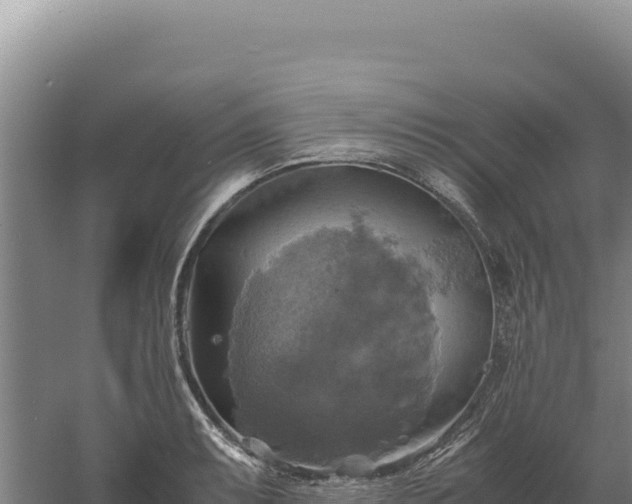 X0000060571087200511101623