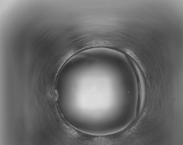 X0000060571089200511101623