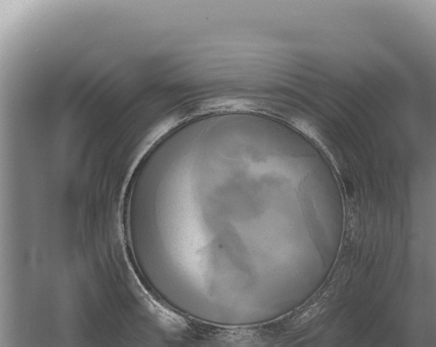 X0000060571090200511101623