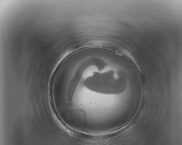 X0000060571091200511101623