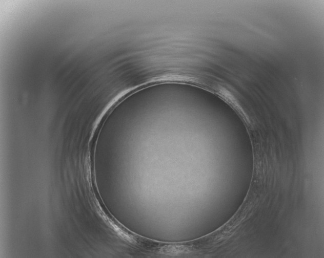 X0000060571092200511101623