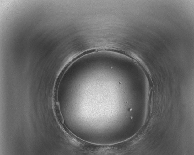 X0000060571093200511101623