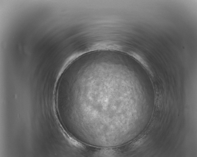 X0000060571094200511101623