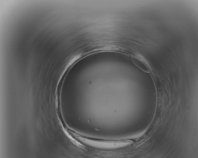 X0000060571095200511101623