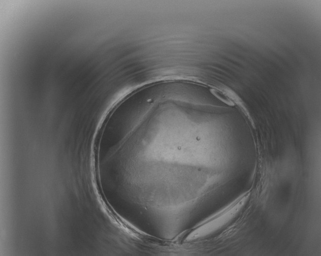 X0000060571096200511101623