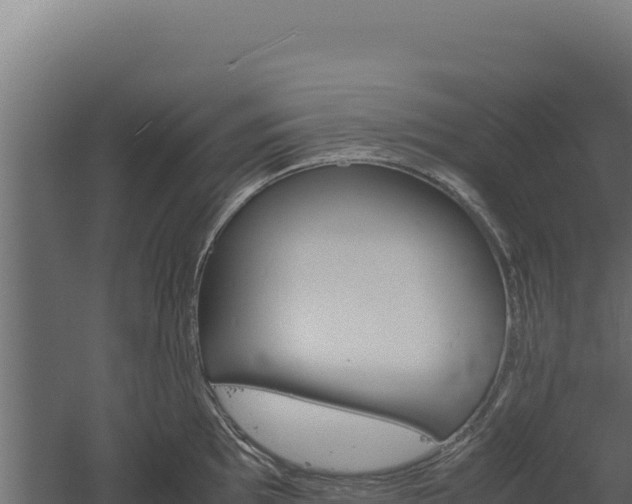 X0000060571097200511101623