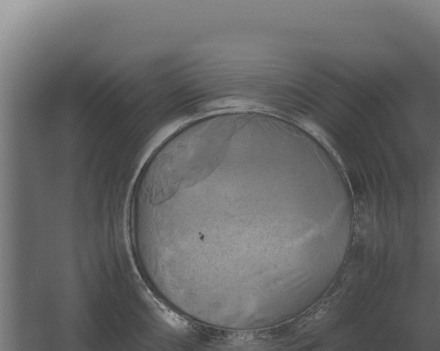 X0000060571098200511101623