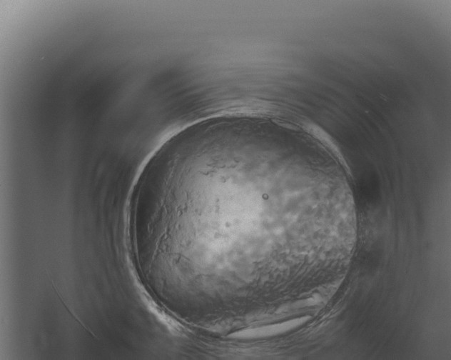 X0000060571099200511101623