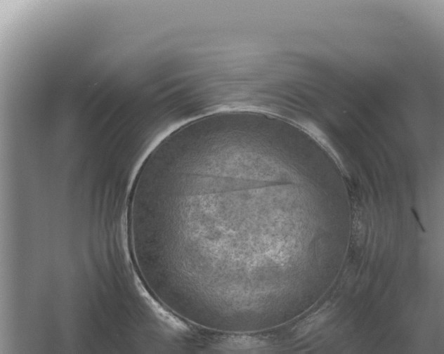 X0000060571100200511101623