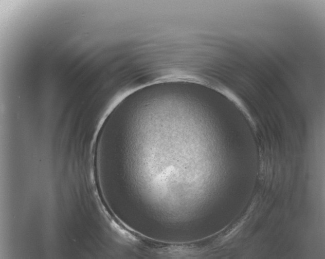 X0000060571102200511101623