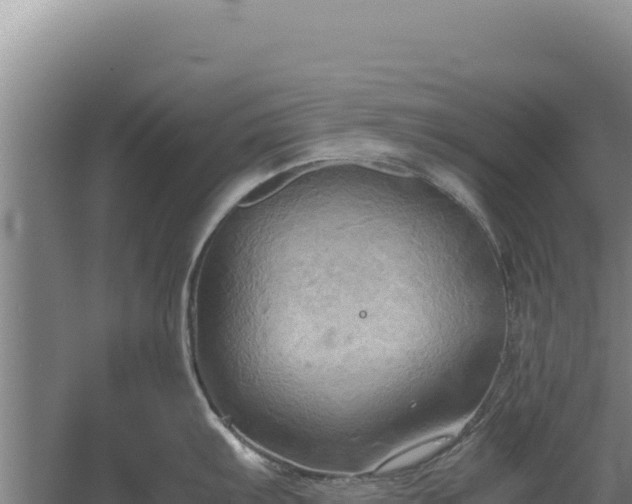 X0000060571103200511101623