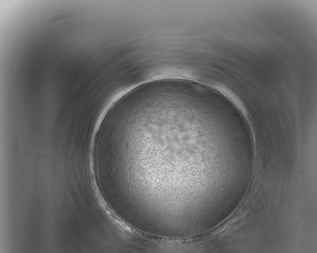 X0000060571104200511101623