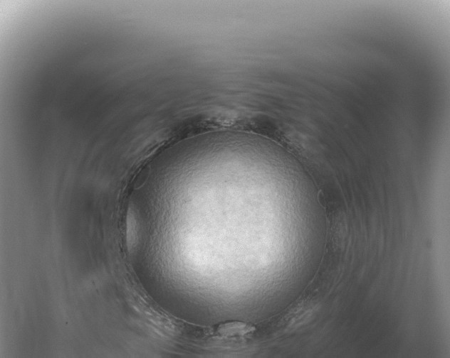 X0000060571105200511101622