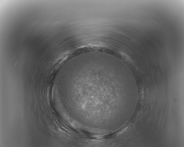 X0000060571110200511101622