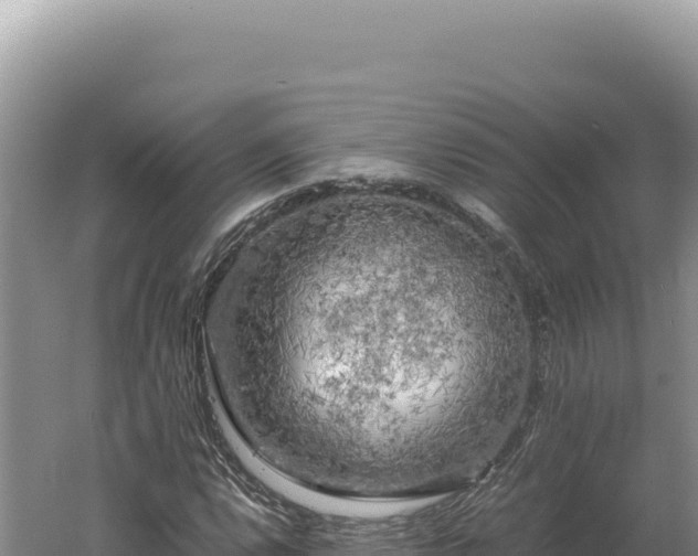 X0000060571112200511101622