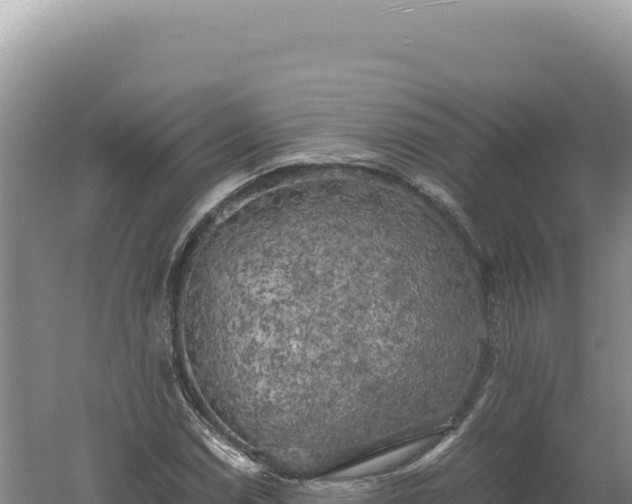 X0000060571114200511101622