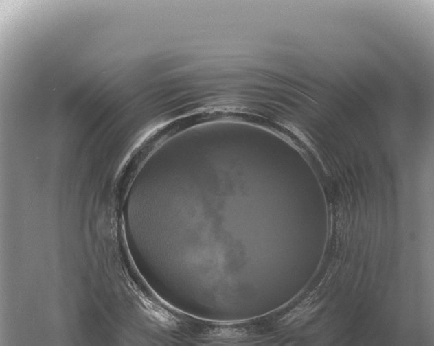 X0000060571115200511101622