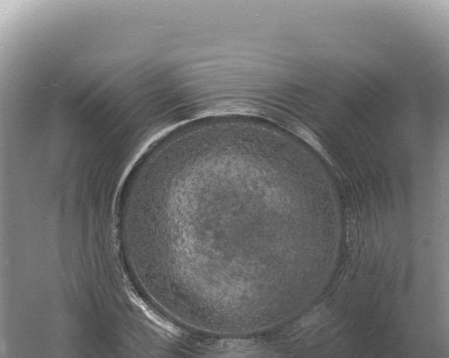 X0000060571116200511101622