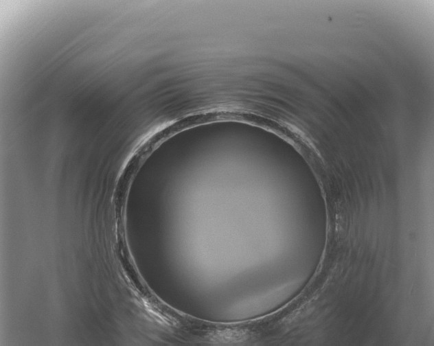 X0000060571117200511101622