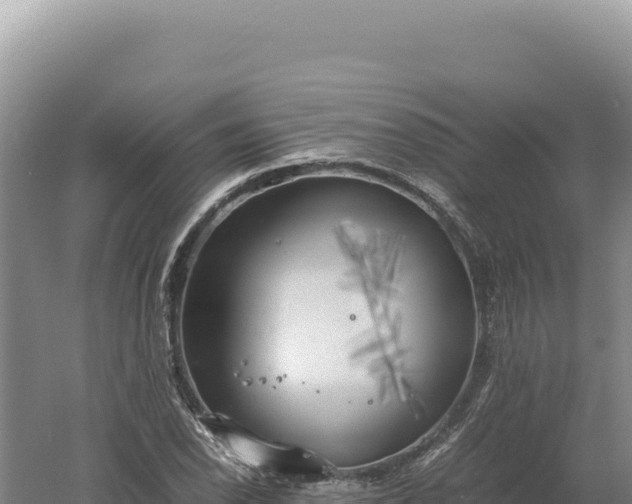 X0000060571118200511101622