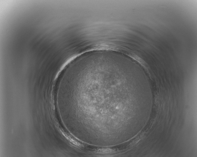 X0000060571120200511101622