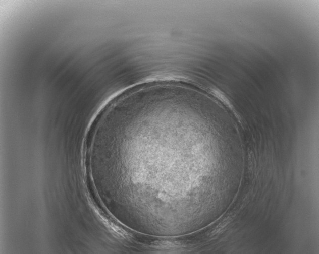 X0000060571124200511101622