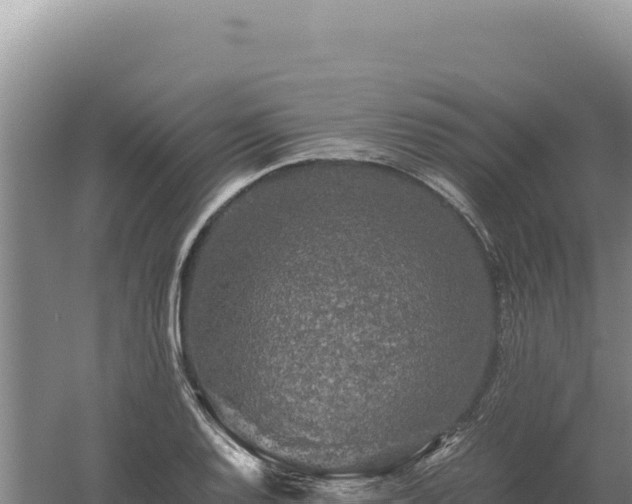 X0000060571128200511101622