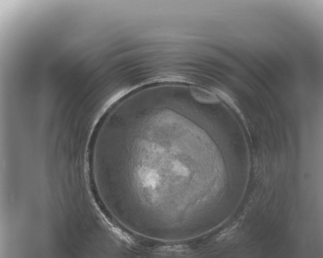 X0000060571133200511101623