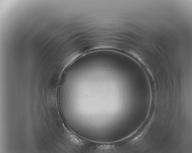 X0000060571137200511101623