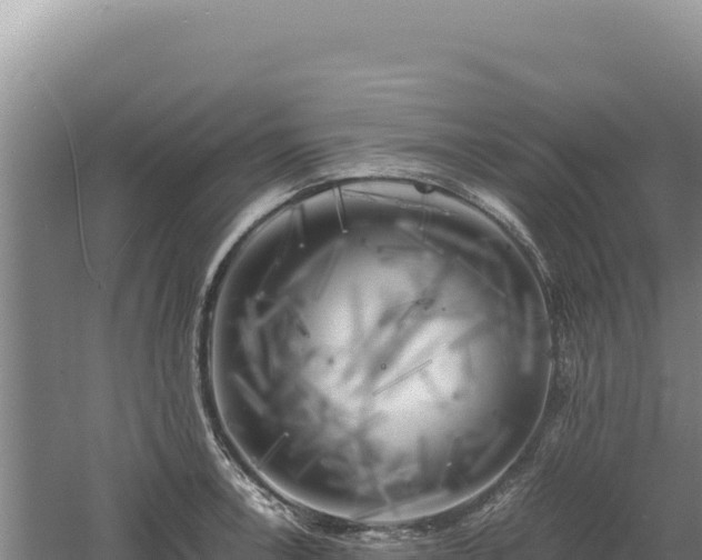 X0000060571138200511101623